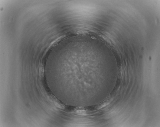 X0000088470228200706121537