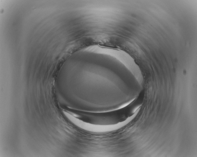 X0000088470229200706121537