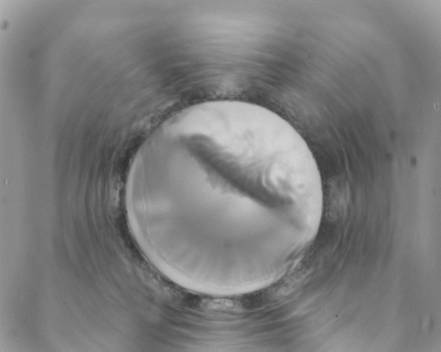 X0000088470230200706121537