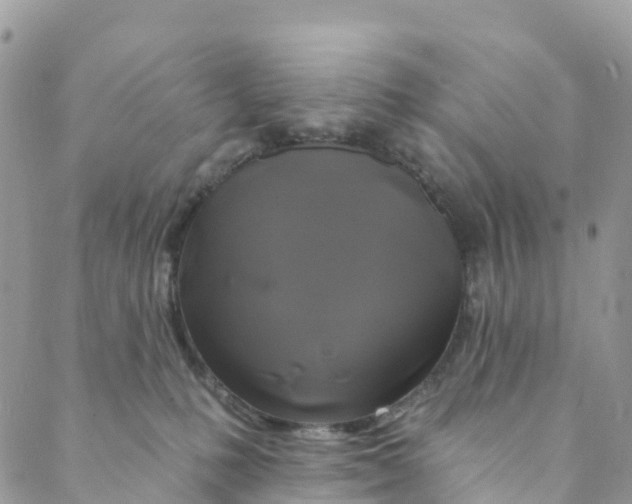 X0000088470231200706121537