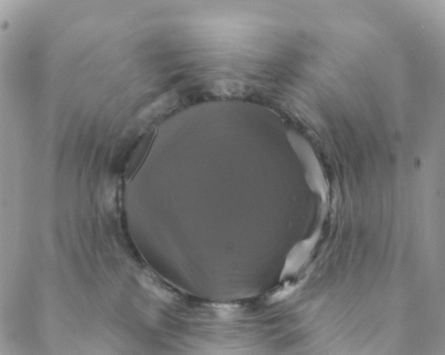 X0000088470233200706121537