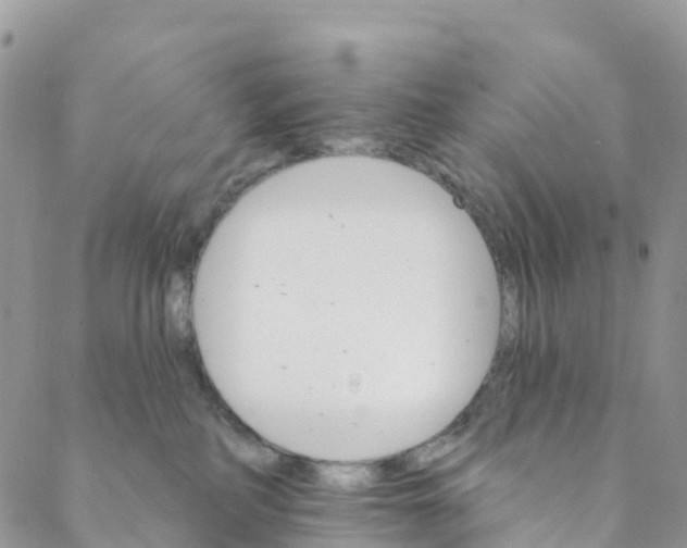 X0000088470234200706121537