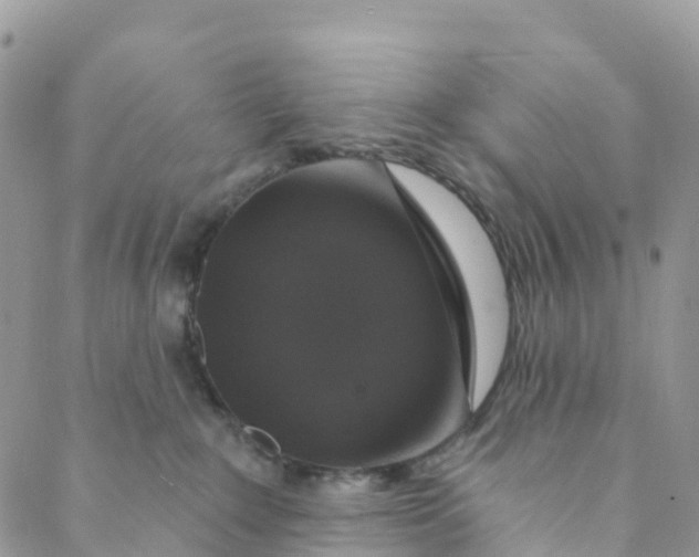 X0000088470235200706121537