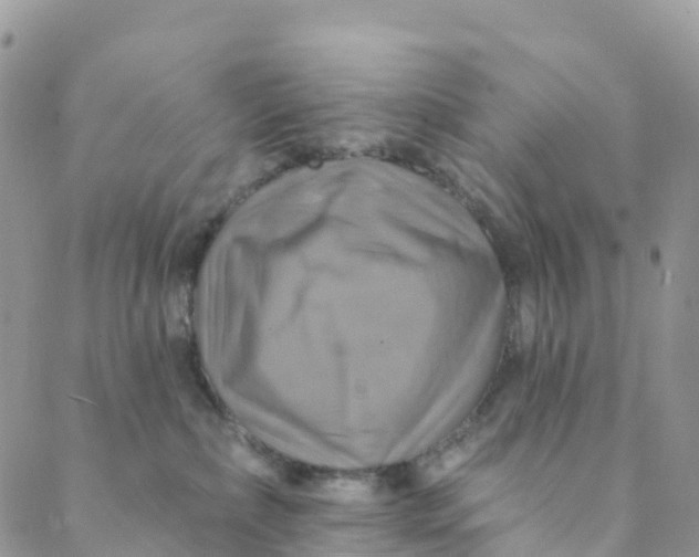 X0000088470236200706121537