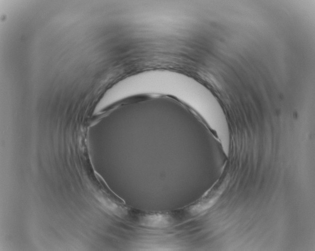 X0000088470237200706121537