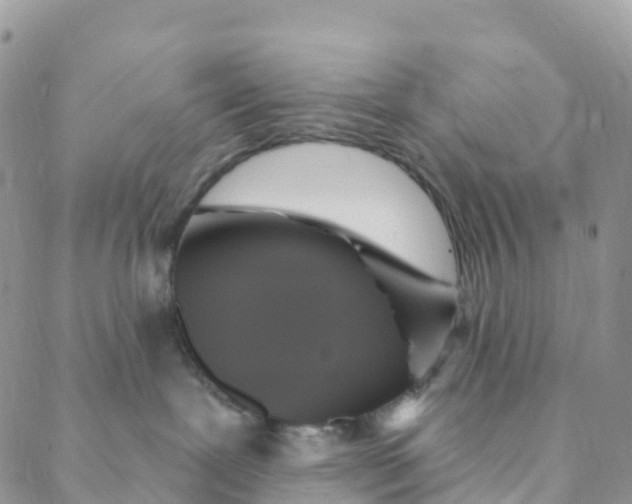 X0000088470239200706121537