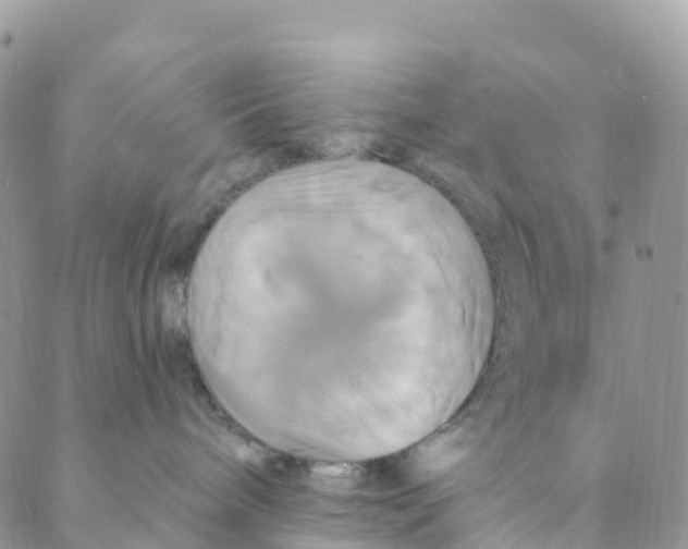 X0000088470240200706121537