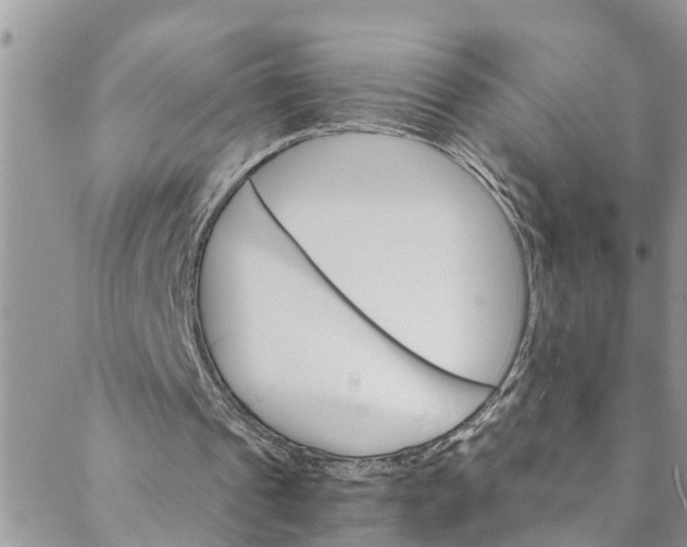 X0000088470241200706121536