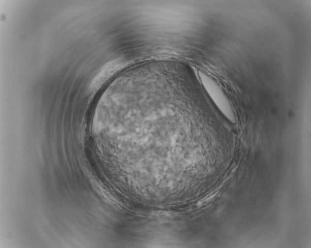 X0000088470242200706121536