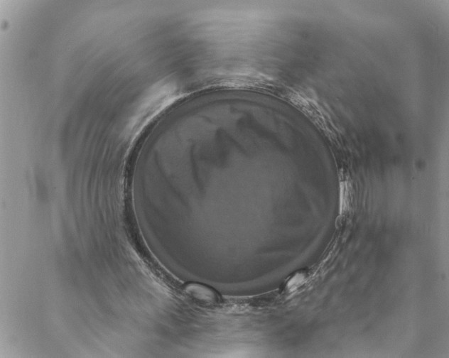 X0000088470243200706121536