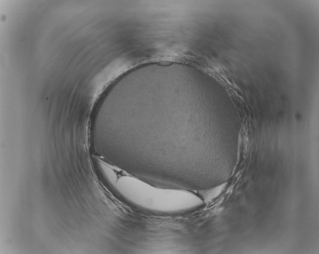 X0000088470244200706121536