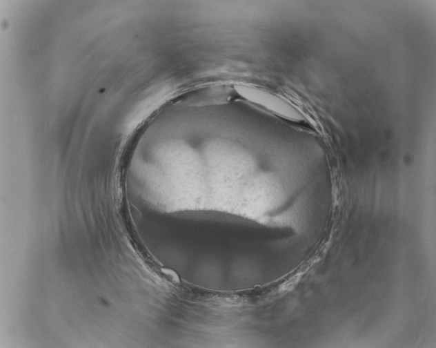 X0000088470245200706121536