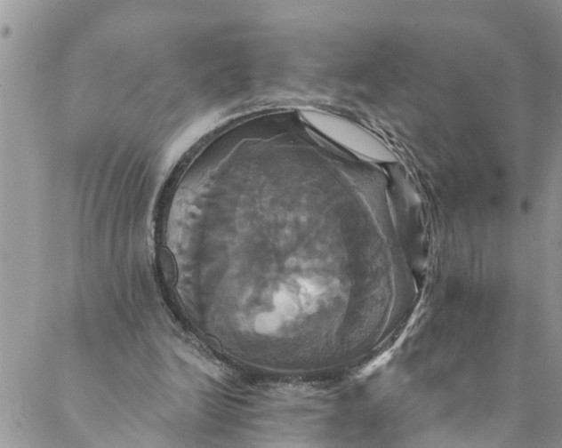 X0000088470246200706121536