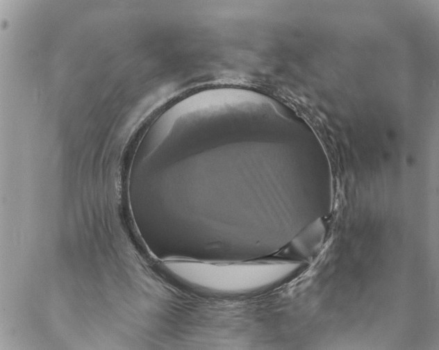 X0000088470247200706121536