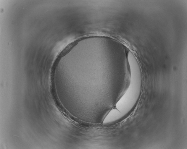 X0000088470248200706121536