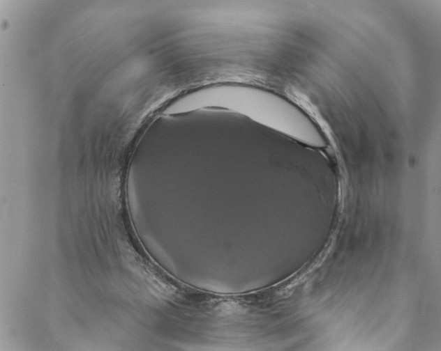 X0000088470249200706121536