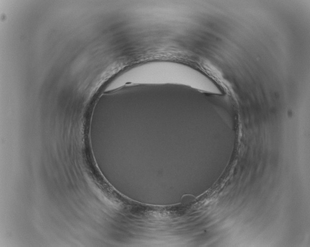 X0000088470250200706121536