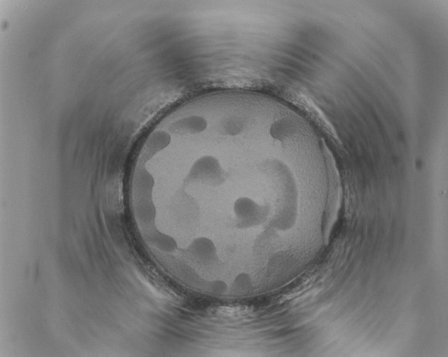 X0000088470251200706121536