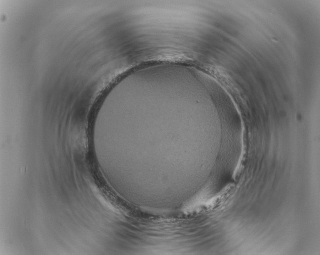 X0000088470252200706121536