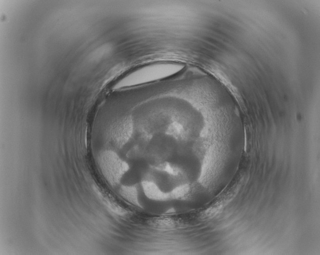 X0000088470253200706121536