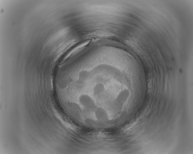 X0000088470254200706121536