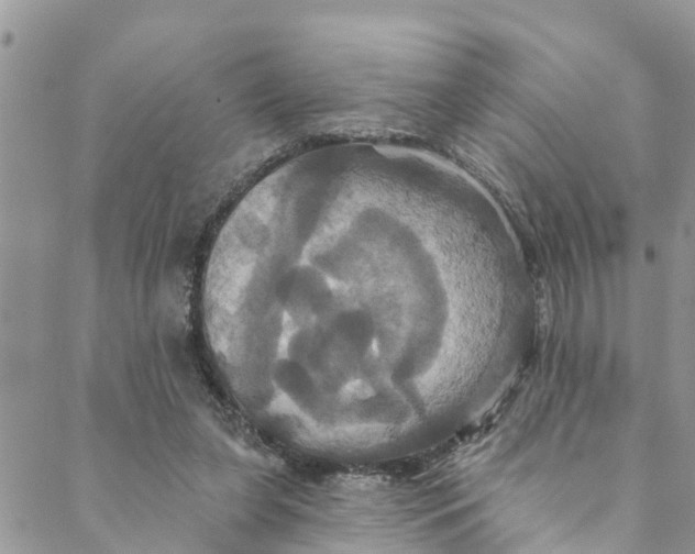 X0000088470255200706121536