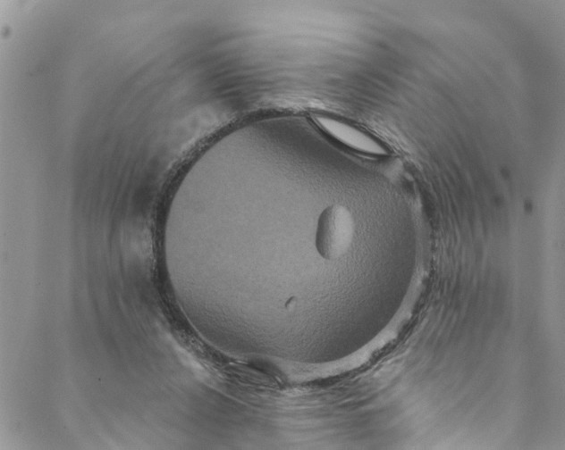 X0000088470256200706121536