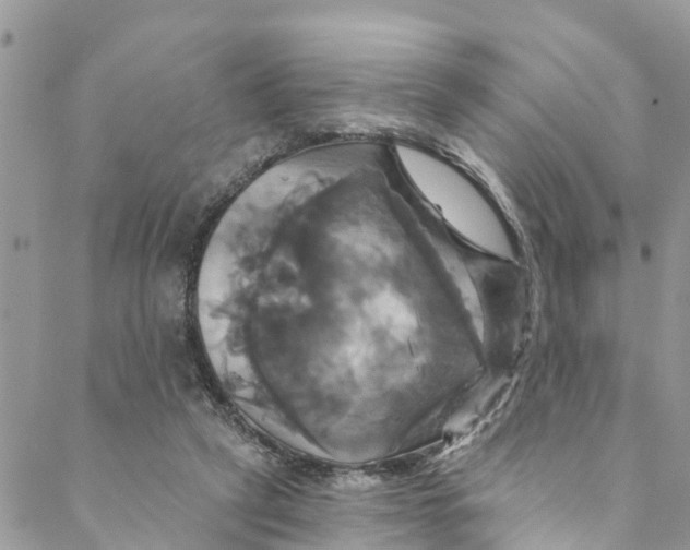 X0000088470257200706121536