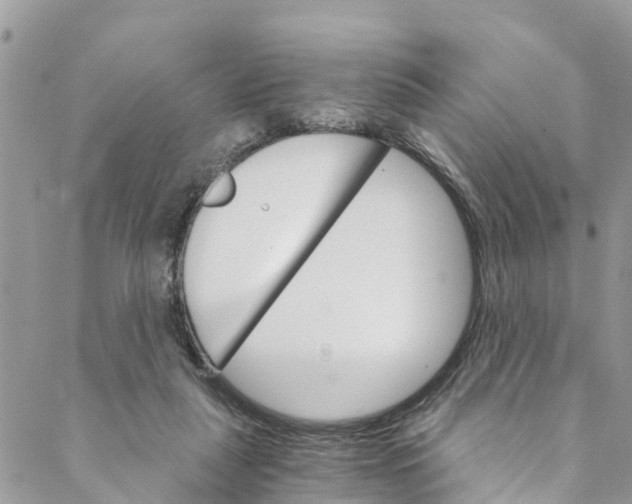 X0000088470259200706121536