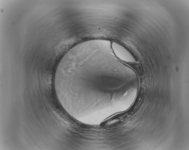 X0000088470260200706121536