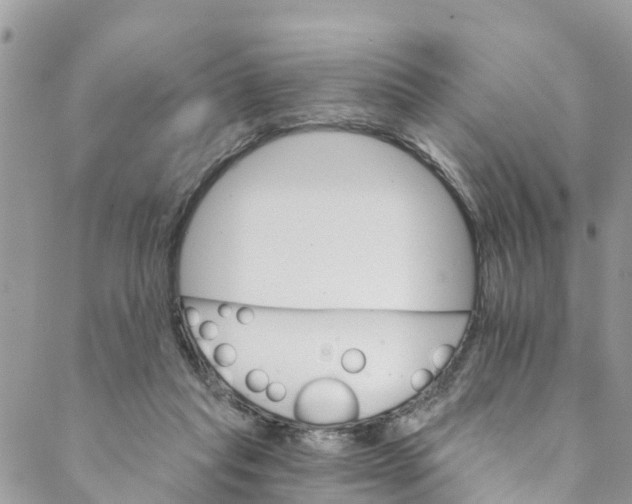 X0000088470261200706121536