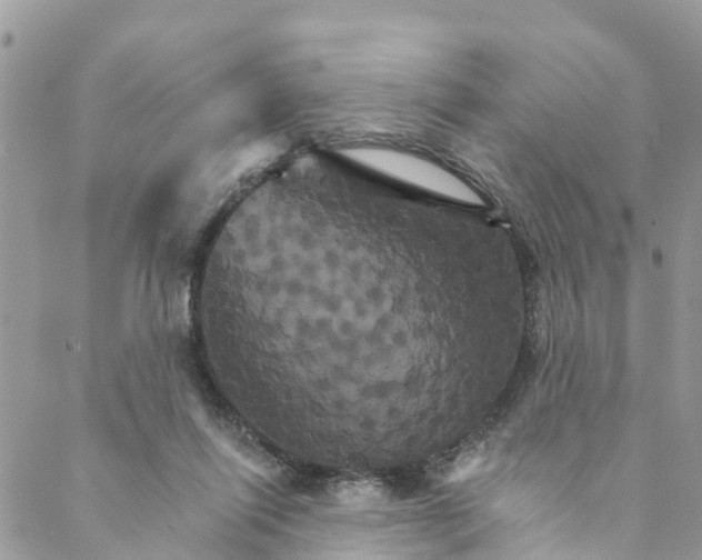 X0000088470262200706121536