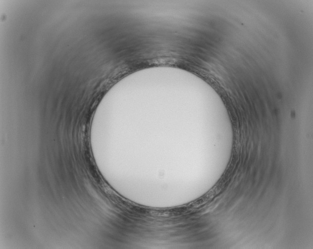 X0000088470263200706121537