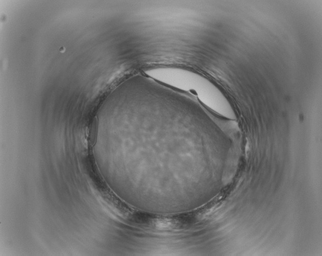 X0000088470264200706121537