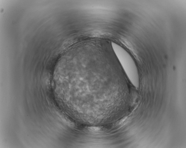 X0000088470265200706121537