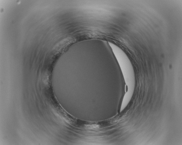 X0000088470266200706121537