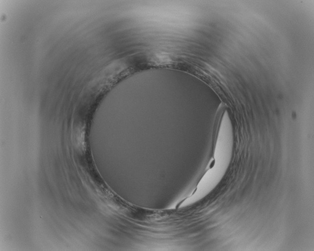 X0000088470267200706121537