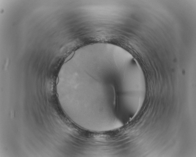 X0000088470268200706121537