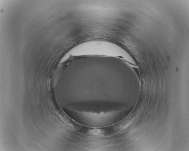 X0000088470269200706121537