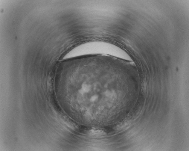 X0000088470270200706121537