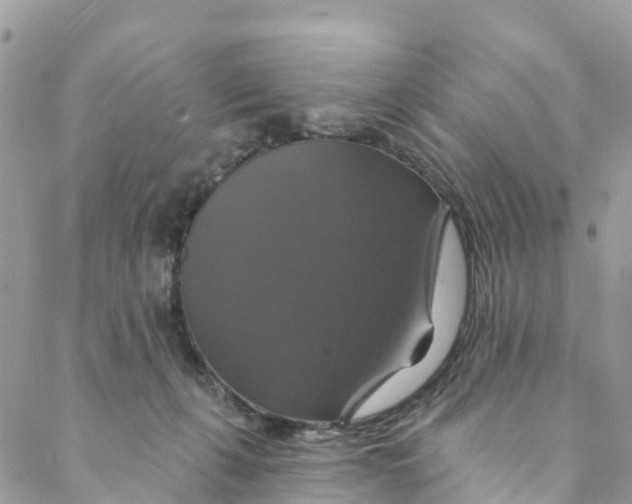 X0000088470271200706121537