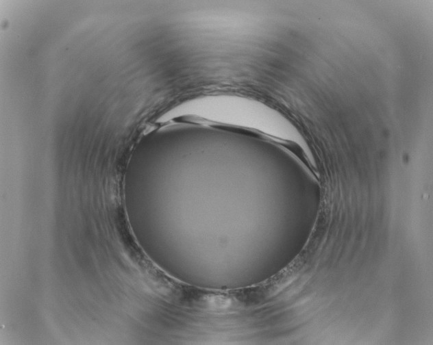 X0000088470272200706121537