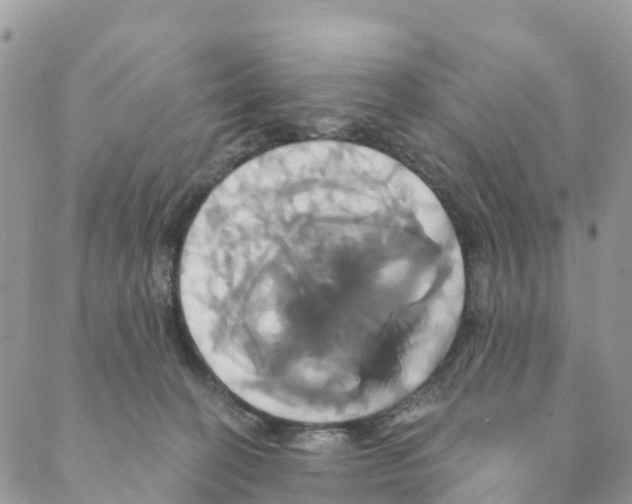 X0000088470274200706121537