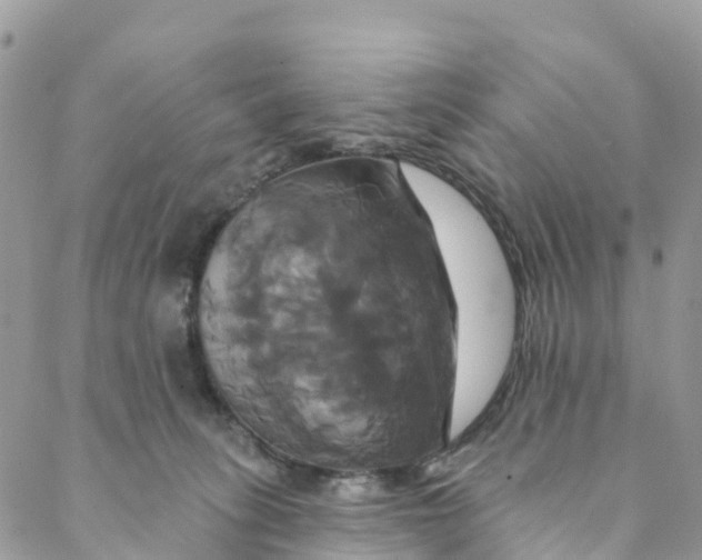 X0000088470275200706121537