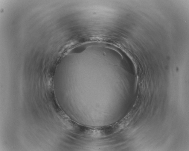 X0000088470276200706121537