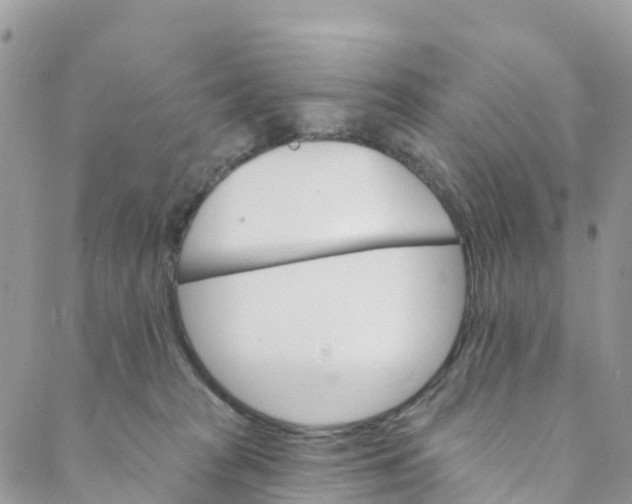 X0000088470277200706121537