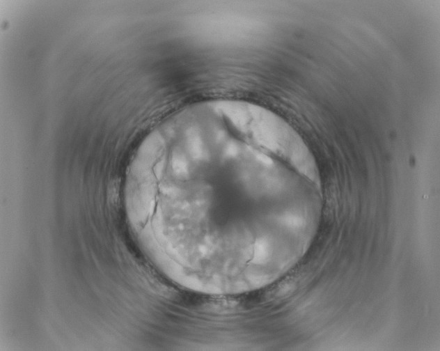 X0000088470278200706121537