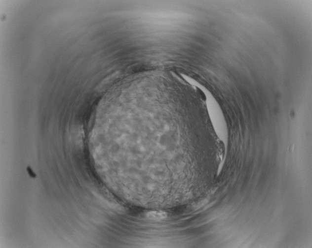 X0000088470279200706121537