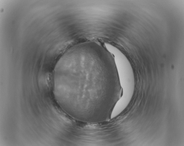 X0000088470280200706121537