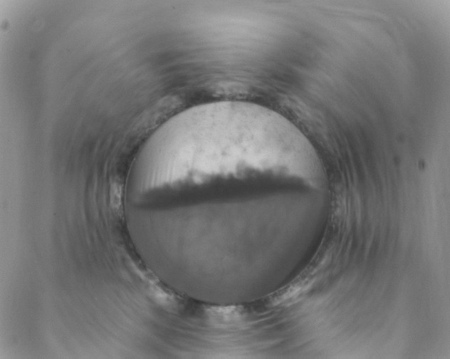 X0000088470281200706121537